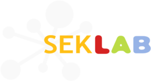 Seklab Logo